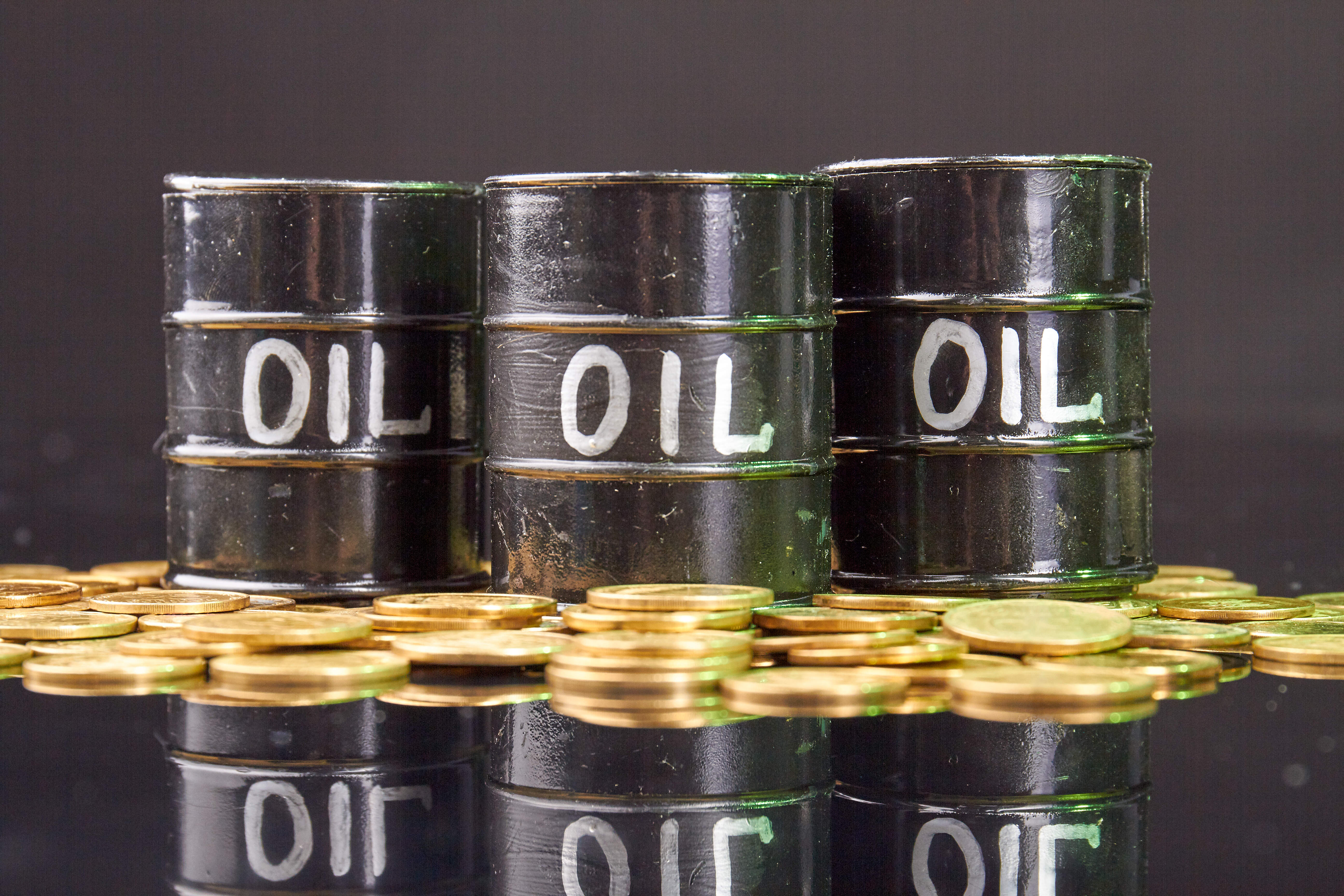 Will Oil Prices Touch $100 ?